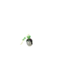 Pokemon GO Poltchageist Counterfeit