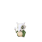 Pokemon GO Cubone 