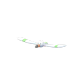 Pokemon GO Wingull 