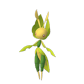 Pokemon GO Leavanny 
