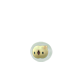 Pokemon GO Solosis 