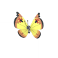 Pokemon GO Vivillon Continental