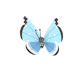 Pokemon GO Vivillon Tundra