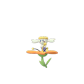 Pokemon GO Flabébé Orange