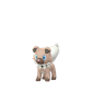 Pokemon GO Rockruff 