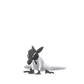 Pokemon GO Salandit 