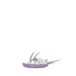 Pokemon GO Wimpod 