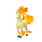 Pokemon GO Rapidash 