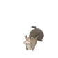 Pokemon GO Skwovet 